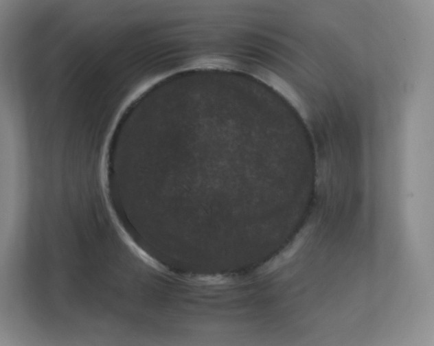 X0000110771037200906291044