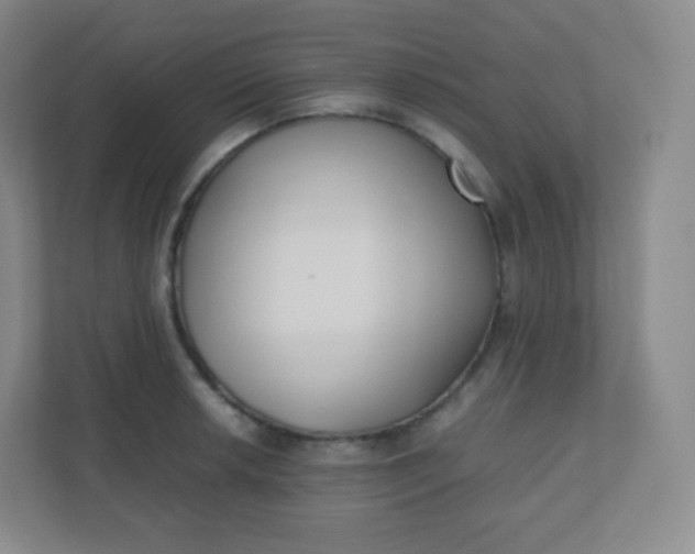 X0000110771042200906291044