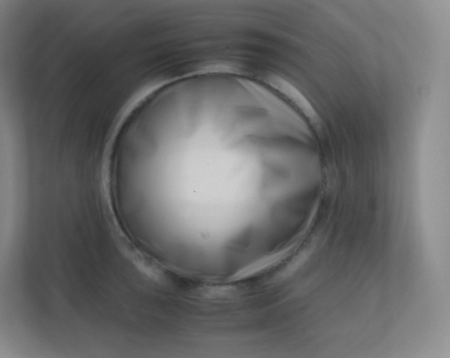 X0000110771043200906291044