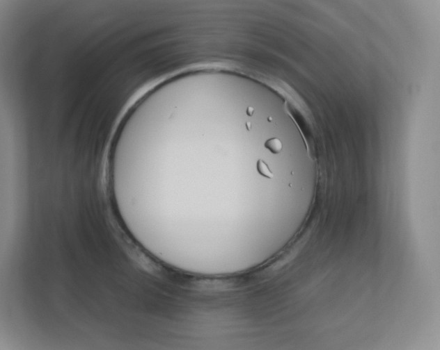 X0000110771044200906291044