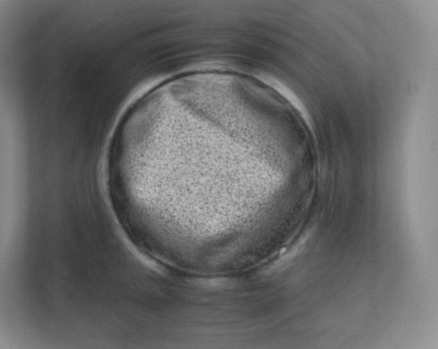 X0000110771045200906291044