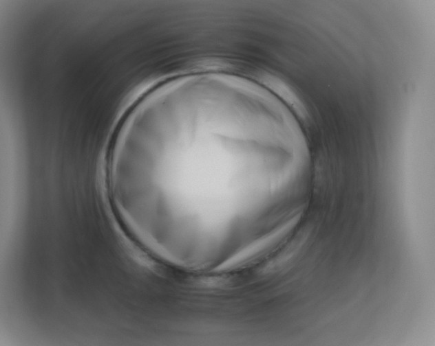 X0000110771047200906291044