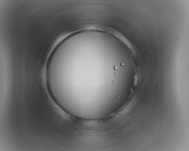 X0000110771048200906291044