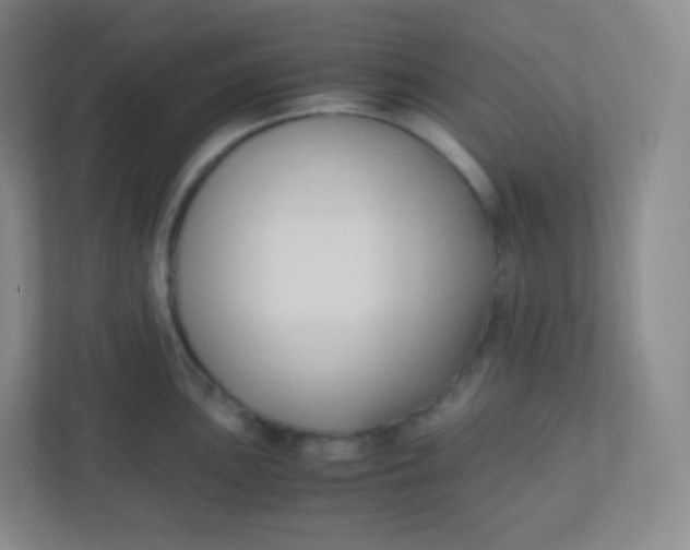 X0000110771051200906291044