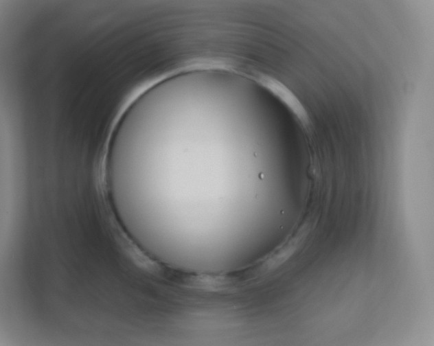 X0000110771052200906291044