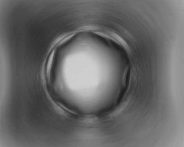 X0000110771055200906291044