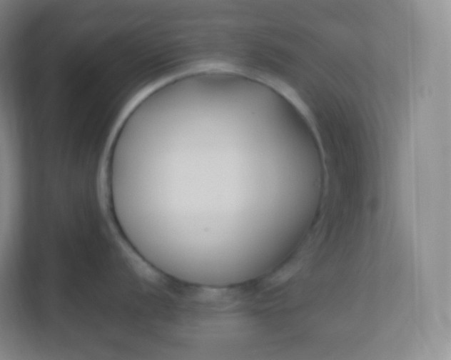 X0000110771056200906291044