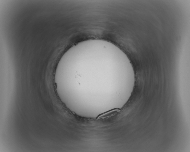 X0000110771057200906291043