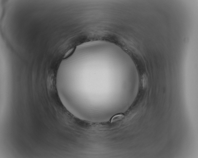 X0000110771059200906291043