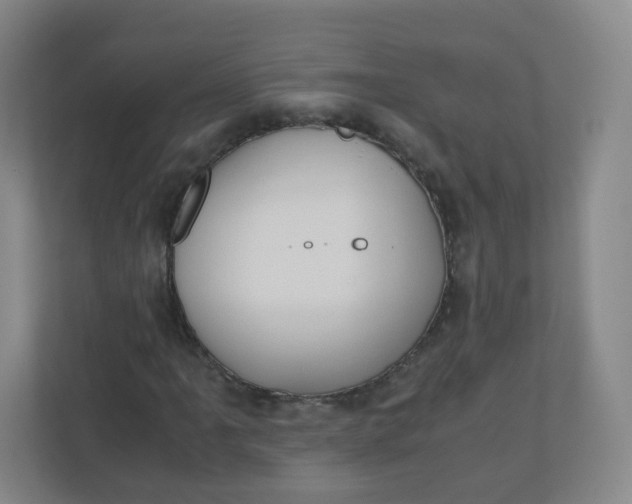 X0000110771061200906291043