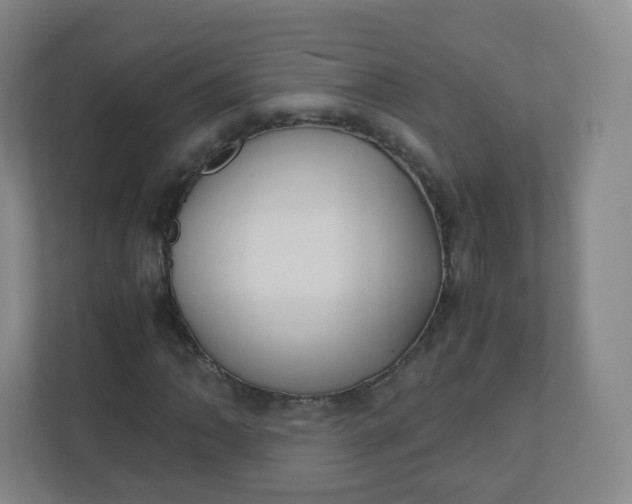 X0000110771062200906291043