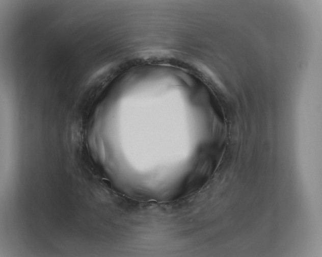 X0000110771063200906291043