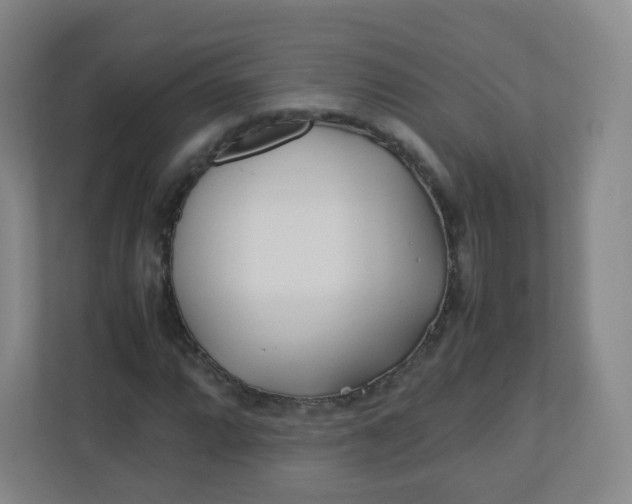 X0000110771064200906291043