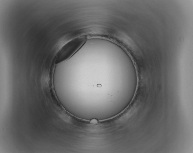 X0000110771065200906291043