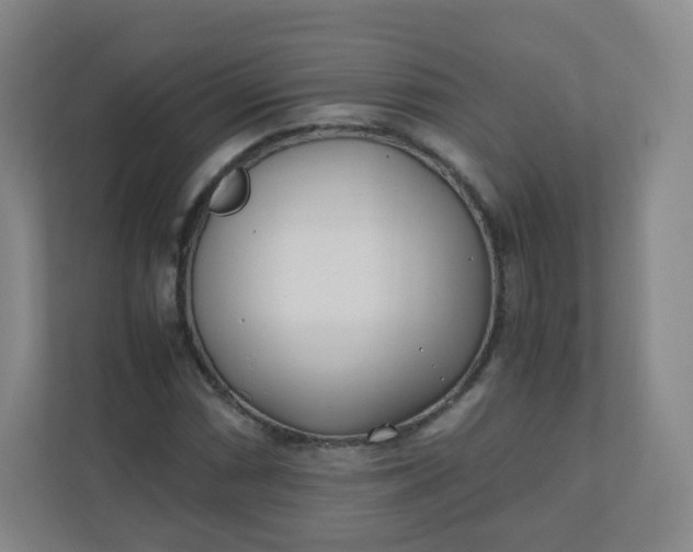 X0000110771066200906291043