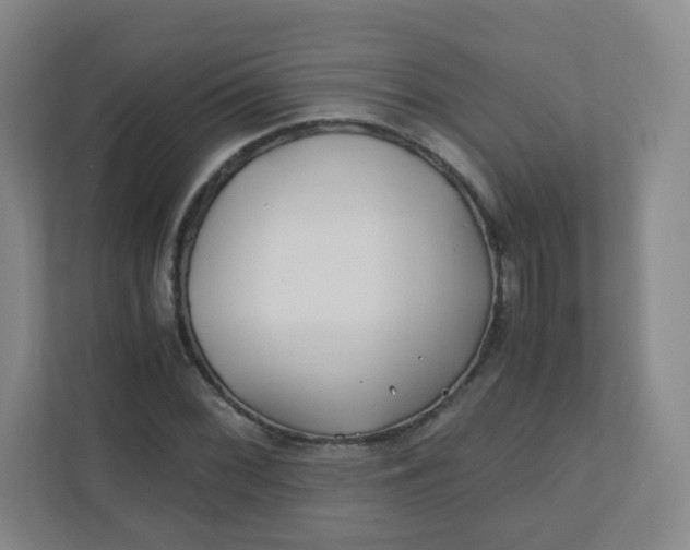 X0000110771068200906291043