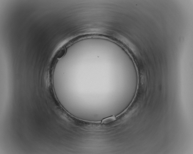 X0000110771069200906291043