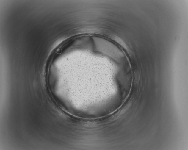 X0000110771071200906291043