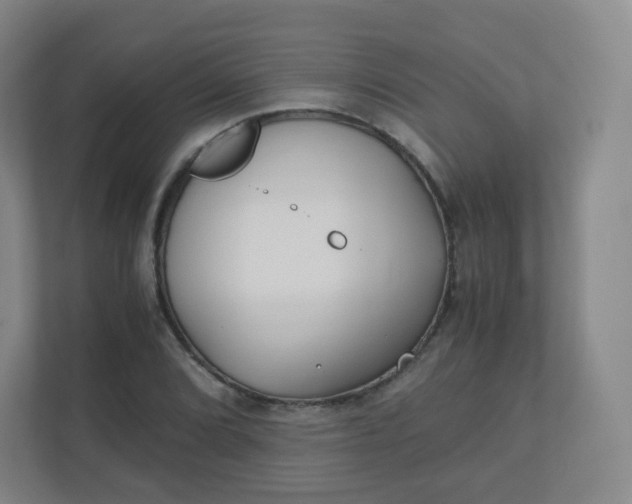 X0000110771072200906291043