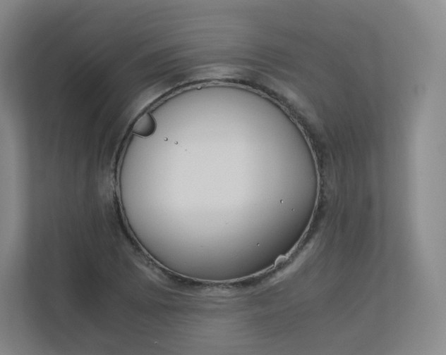 X0000110771073200906291043