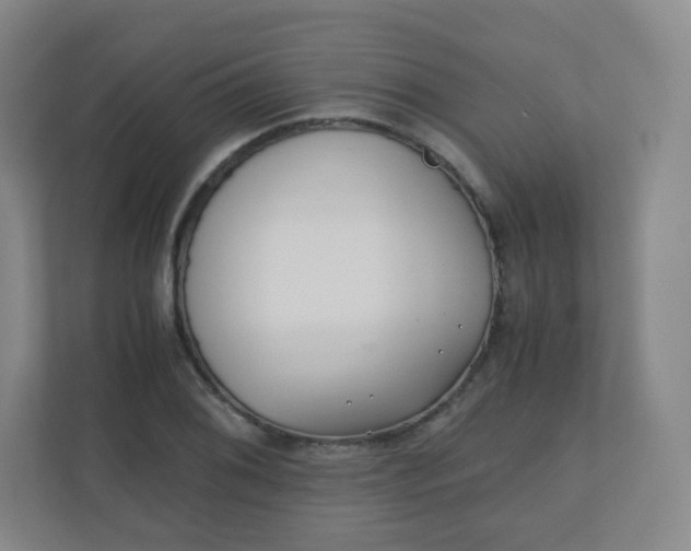 X0000110771076200906291043