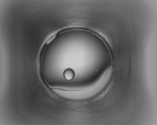 X0000110771077200906291043