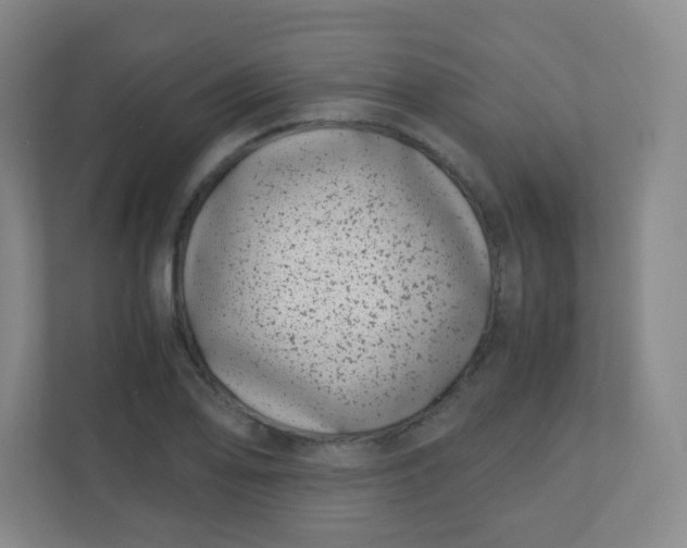 X0000110771078200906291043