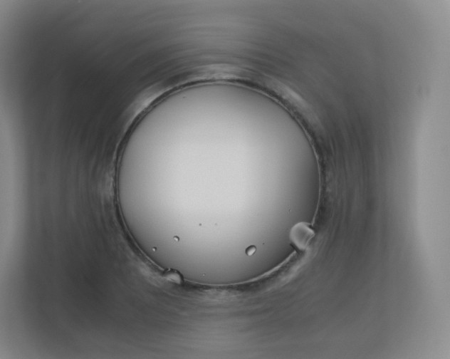 X0000110771081200906291043