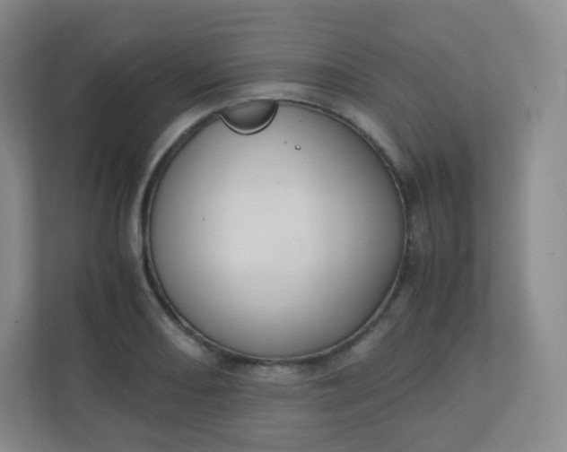 X0000110771082200906291043