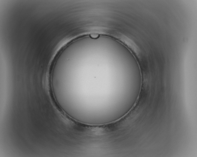 X0000110771085200906291043