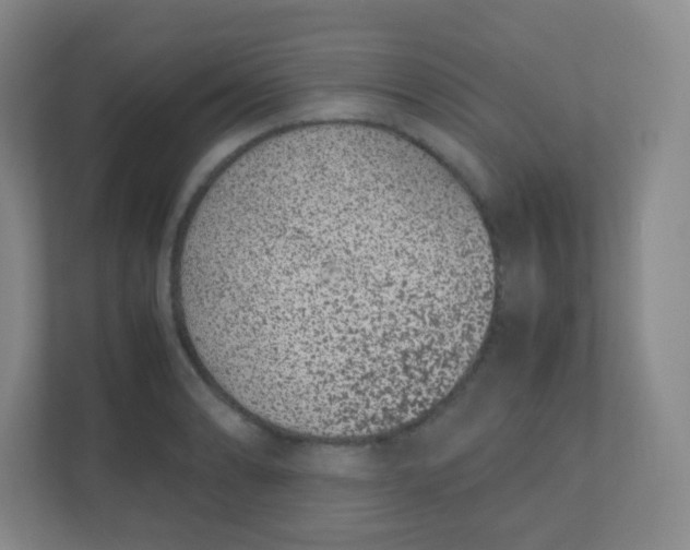 X0000110771086200906291043