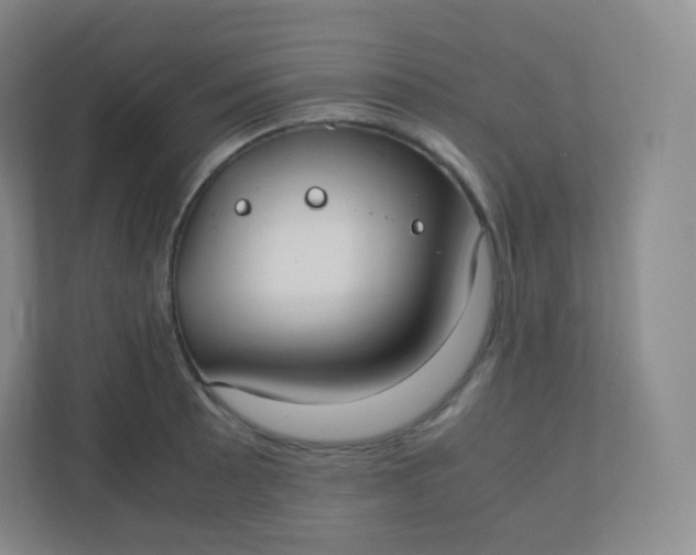 X0000110771089200906291043