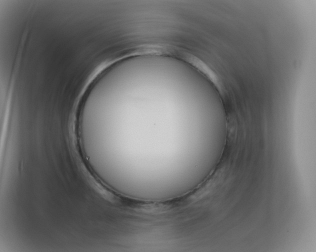 X0000110771091200906291043