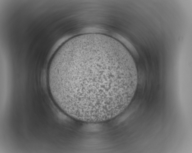 X0000110771094200906291043