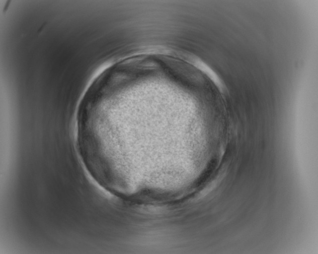 X0000110771095200906291043