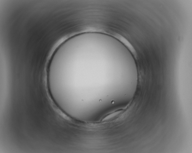 X0000110771096200906291043