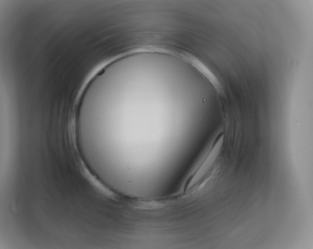 X0000110771100200906291043