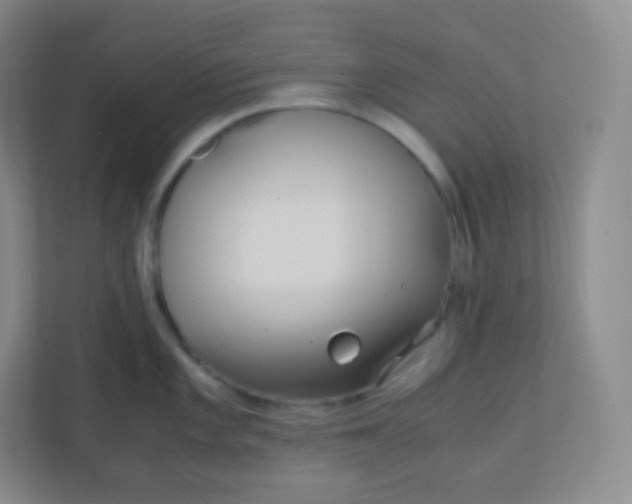 X0000110771101200906291043