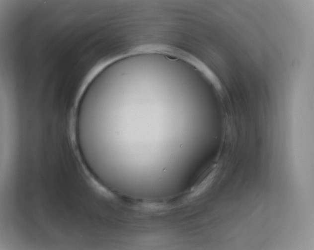 X0000110771102200906291043