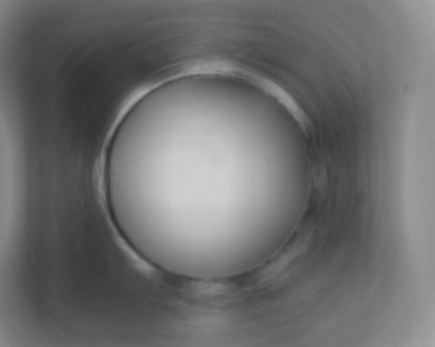 X0000110771103200906291043