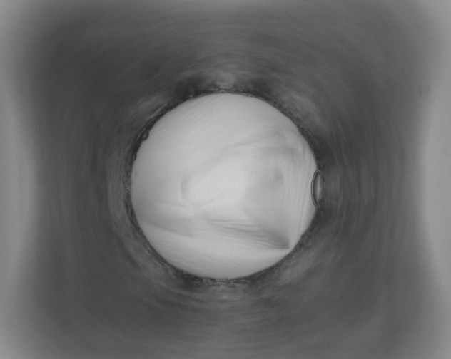 X0000110771105200906291042