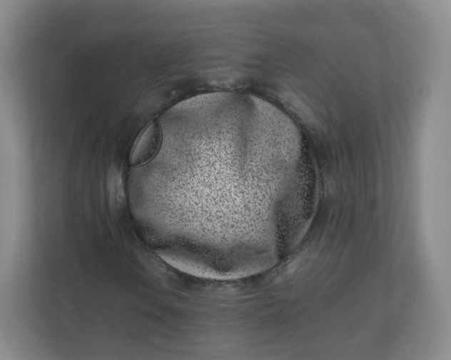 X0000110771106200906291042