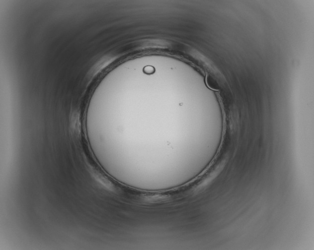 X0000110771113200906291042