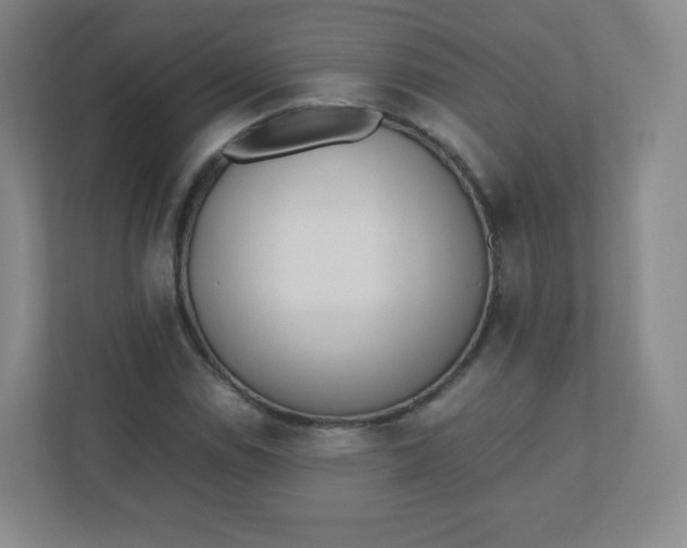 X0000110771114200906291042