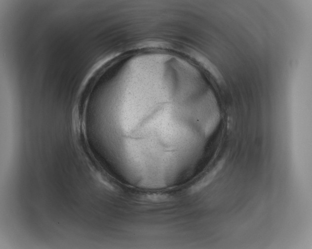 X0000110771117200906291042