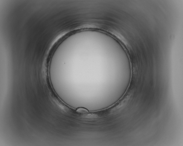 X0000110771119200906291042