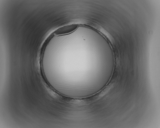 X0000110771124200906291042