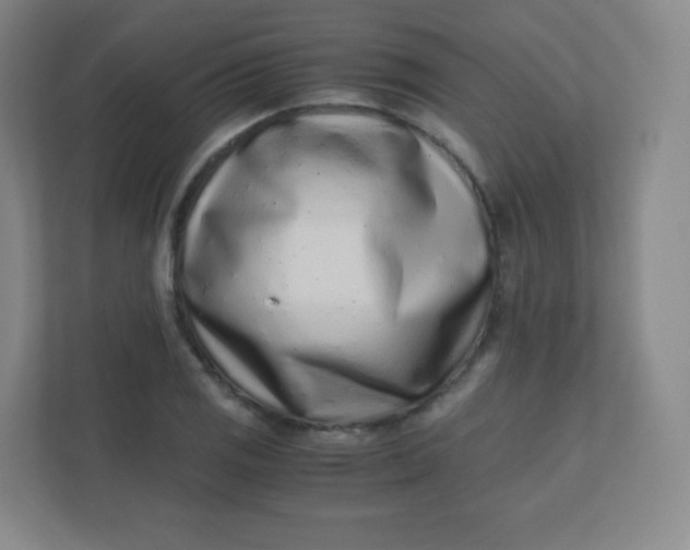 X0000110771125200906291043