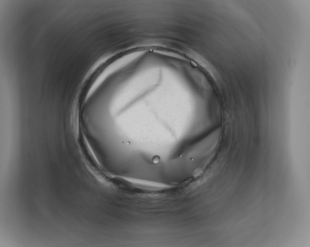 X0000110771127200906291043