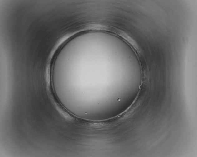 X0000110771128200906291043